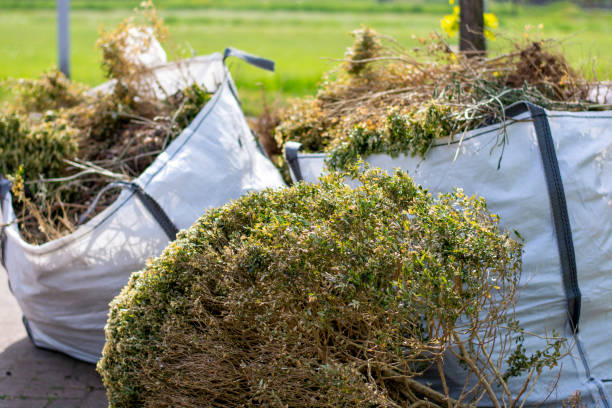 Best Shed Removal  in St Hedwig, TX